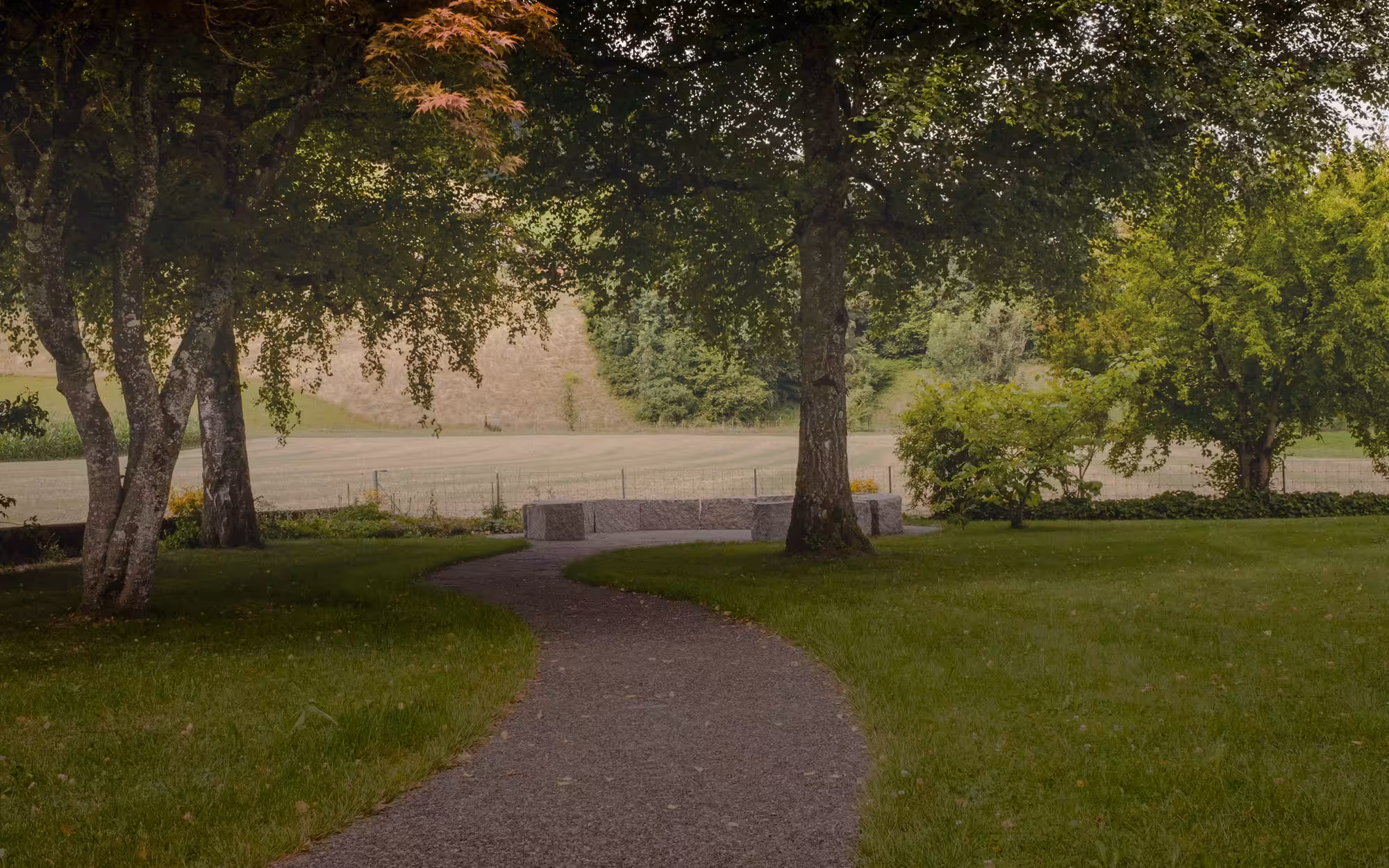 Rasen- und Wiesenpflege