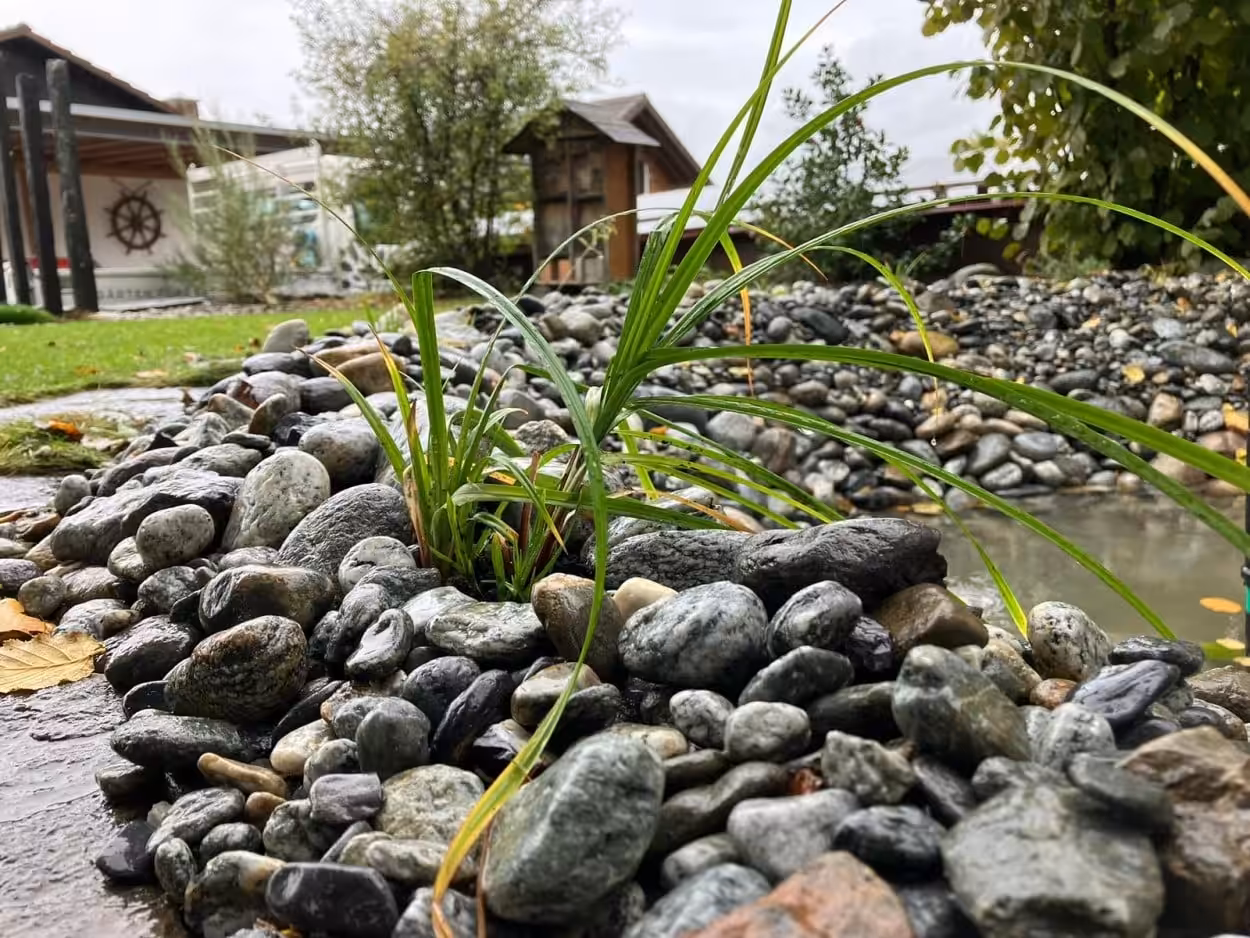 Aktuelles Gartenbauprojekt: Teich-Sanierung