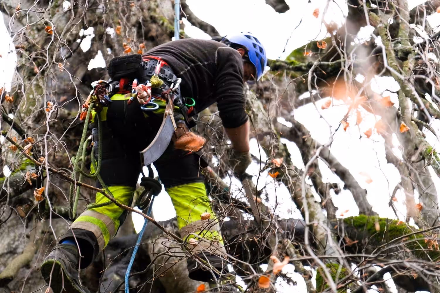 Wiederholungskurs Seilklettertechnik