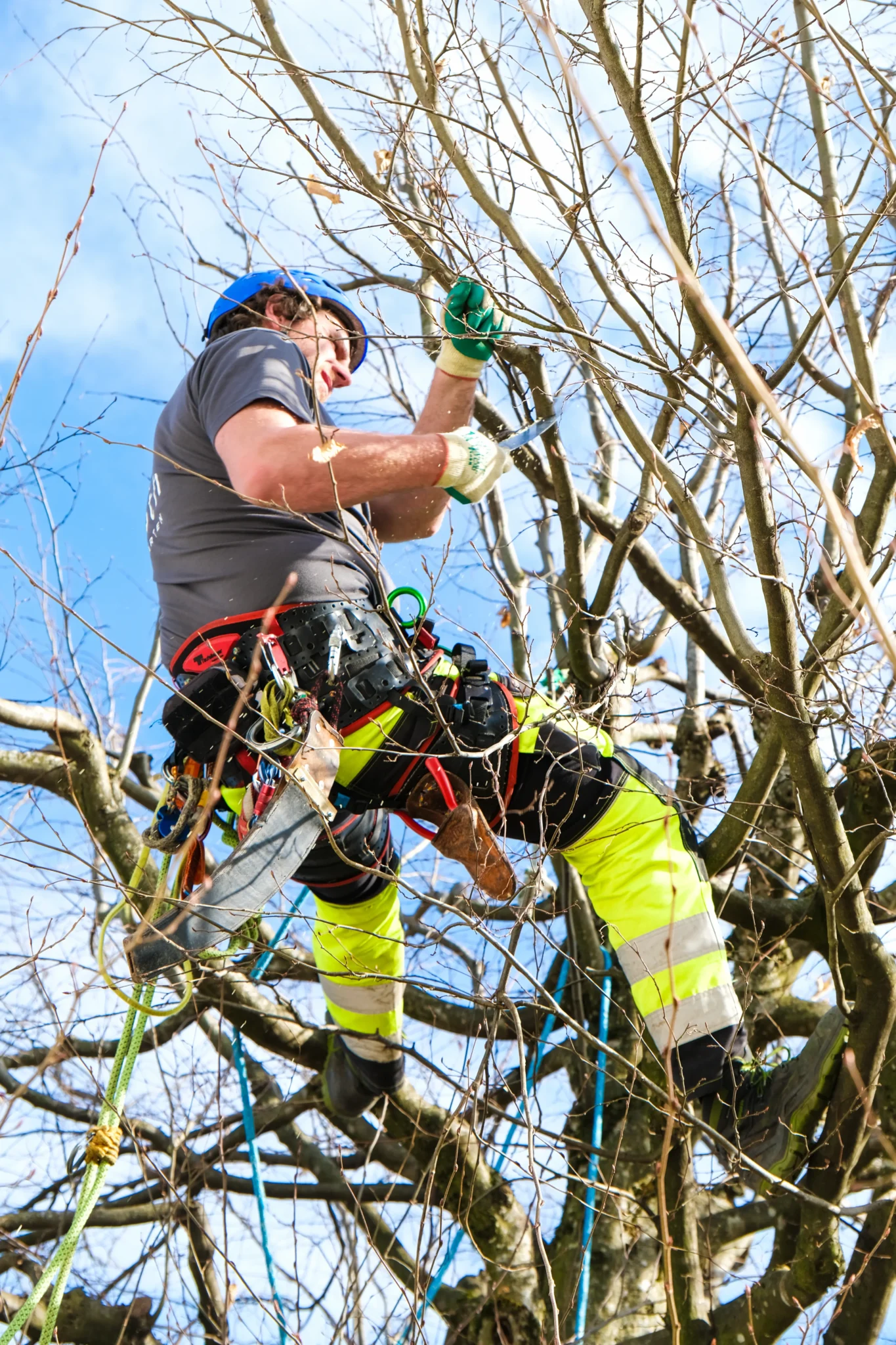 Bäume prägen das Erscheinungsbild von Gärten, Siedlungen und Parks, sie spenden Schatten, kühlen die Luft und binden CO2. Damit diese wertvollen Lebewesen über Jahrzehnte und Generationen hinweg vital bleiben, brauchen sie regelmässige und fachkundige Pflege.